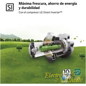 ASSET_MMS_108795999
